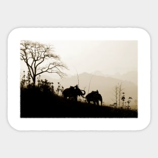 Asian Elephants Trekking In The Jungle Photograph Sticker